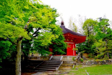 <p>Aizen-do Hall, halfway to&nbsp;Kaizan-do Hall</p>