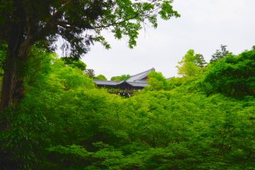<p>Charcoal colored tile-roofed bridge and corridors nestled in among the green forest</p>