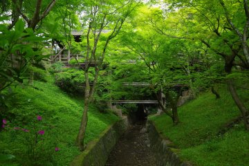 <p>River under the corridors</p>