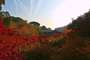 <p>Charcoal colored tile-roofed bridge and corridors nestled in the autumn forest</p>