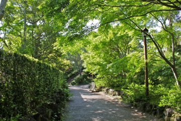 <p>The beautifully manicured paths leading up to Tateyama Castle.</p>