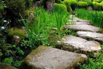 Jalan setapak berbatu menuju air terjun