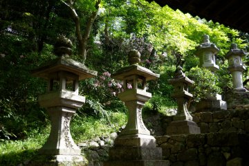 <p>Stone lanterns along the steps</p>