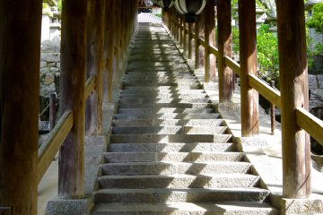 <p>Roofed stairs have 399 steps in total</p>