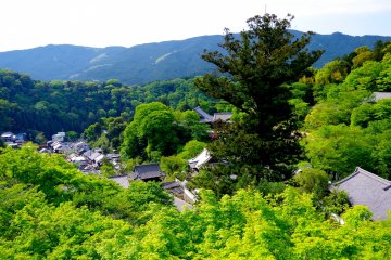 <p>Splendid view from the terrace of the main hall</p>