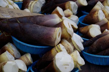 <p>Bamboo shoots at a storefront in early May</p>