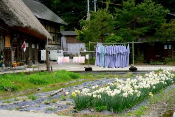 <p>Kimono biru dijemur di bawah sinar matahari musim semi</p>