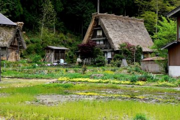 <p>Rumah atap jerami di samping kolam.</p>