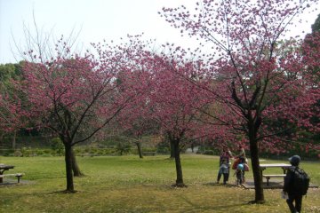 <p>The open space for resting up near the pond's southern shore</p>