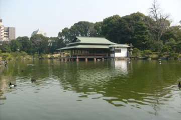 <p>The view across the pond to the Ryotei</p>
