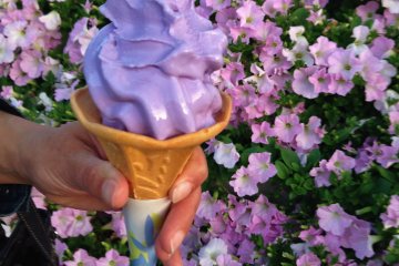 <p>Lors de votre visite, une exclusivit&eacute; &agrave; ne rater sous aucun pr&eacute;texte: la glace saveur glycine ! Douce et rafra&icirc;chissante, surtout apr&egrave;s avoir longuement march&eacute; pour profiter de l'int&eacute;gralit&eacute; du parc.</p>