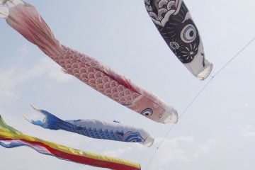 <p>It was the month of May and all was well</p>
