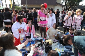 A group of ladyboys