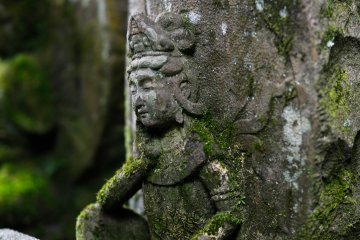 <p>Vous aimeriez certainement rester un peu plus longtemps aupr&egrave;s d'elles</p>