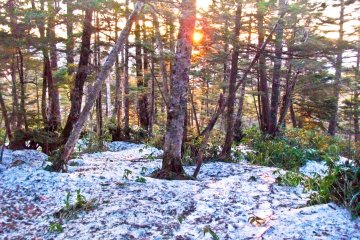 <p>In a race to catch sunrise</p>