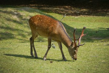 <p>Enjoying a great meal in the sun.&nbsp;</p>