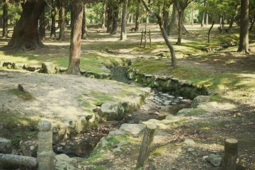<p>Enjoying a walk in the quiet park.</p>