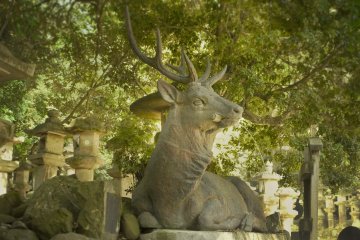 <p>Cette impressionnante statue de cerf crache une eau pure avec laquelle les visiteurs se lavent les mains avant de p&eacute;n&eacute;trer dans le sanctuaire</p>