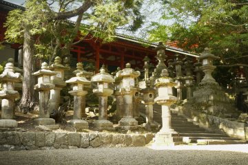 <p>Les lourdes lanternes en pierre devant le sanctuaire</p>