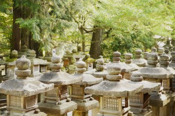 <p>Les lanternes de pierre vues depuis le sanctuaire</p>