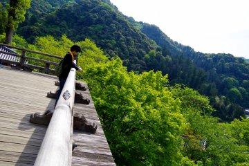 <p>Edge of the terrace</p>
