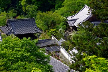 <p>Temple buildings looking down from the terrace</p>