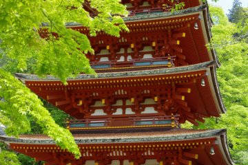 <p>Five-story pagoda standing over the main hall</p>