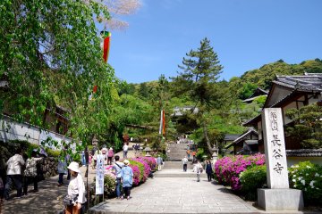 <p>Approach of Hase-dera Temple</p>
