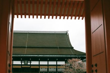 Glimpse into the courtyard 