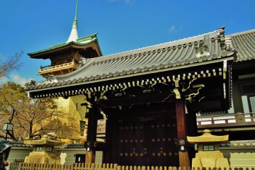 <p>Making our way to the pagoda</p>