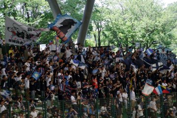 <p>The Lions faithful rocking the outfield</p>