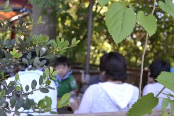 The cafe has an outdoor deck overlooking the Koma river