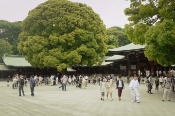 <p>The area is really busy on sundays!</p>