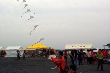 <p>A series of connected kites carry messages of hope towards the heavens</p>