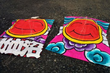 <p>Twins!</p>