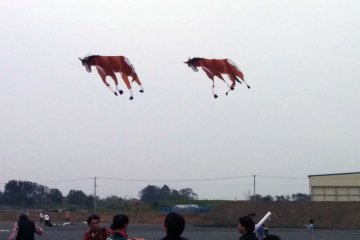 <p>These horse kites appeared to be at full gallop in the wind</p>