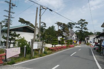 <p>The way from the station to the beach!</p>
