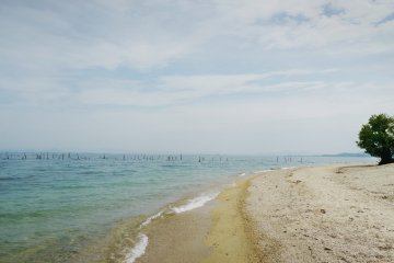 <p>The view from the beach.</p>