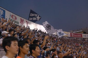 <p>Baseball brings fans to their feet</p>