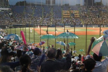 <p>Celebrating a Swallows run with their fans' trademark umbrellas</p>
