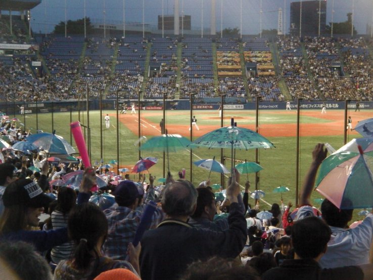 <p>Celebrating a Swallows run with their fans' trademark umbrellas</p>