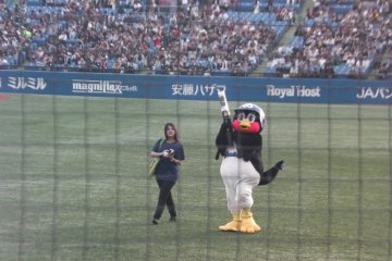 <p>Tsubakuro, the Tokyo Swallows' mascot, fires T-shirts into the crowd at Jingu Stadium</p>