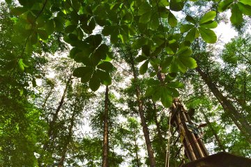 Live in the moment. Soak in the serenity of the forest before you have to head back to the concrete jungle.