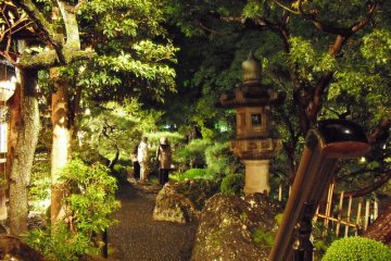 Bonsai like green gardens
