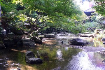Living Stream