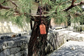 Leisurely Stroll at the Myoshin-ji Temple & Complex