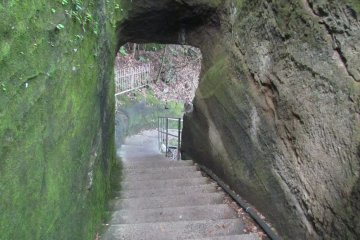 <p>Climbing down the mountain steps</p>