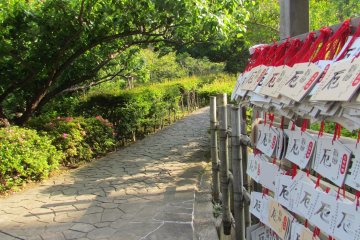 <p>Temple prayers hanging in front of&nbsp;Nihon-ji Temple</p>