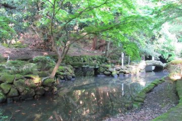<p>Temple garden and pond</p>
