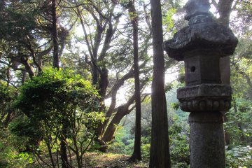 <p>The atmosphere of Nokogiriyama</p>